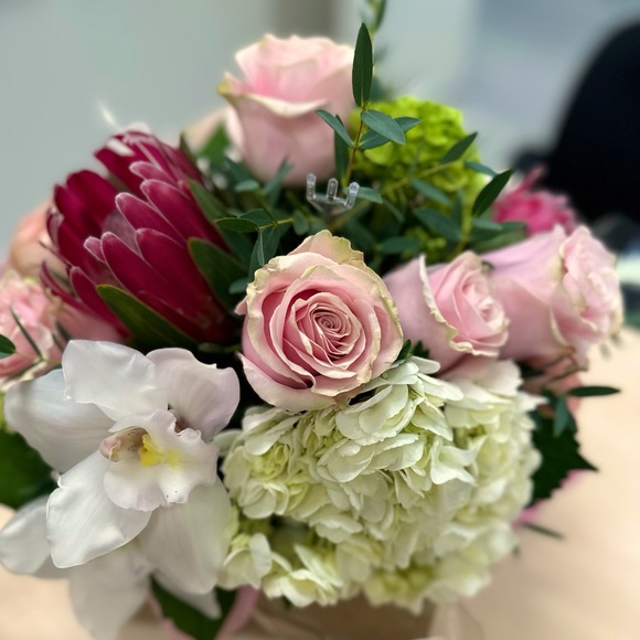 Meet your Posher, Paula🇨🇦 - Picture 1 of 1